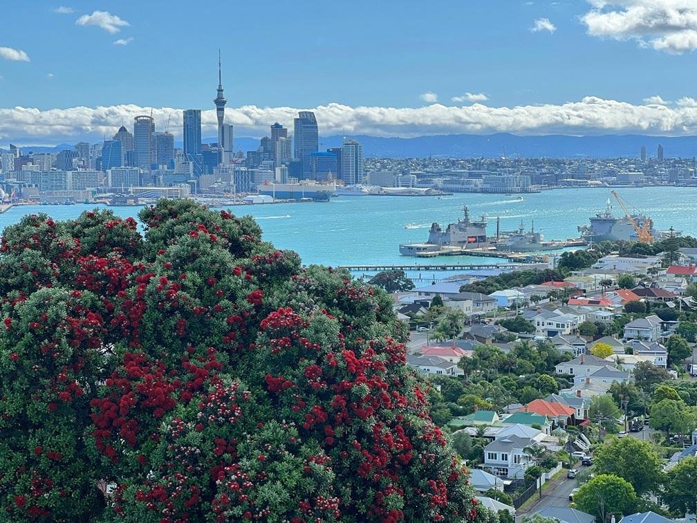Upholstery World North Shore upholstery Auckland New Zealand